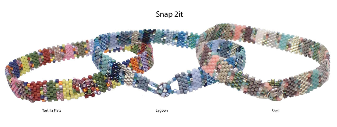 Snap 2it_ Help Video