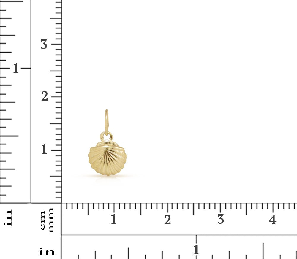 14Kt Gold Filled 8.7x7.5mm Stamped Sea Shell Charms - 5 pcs