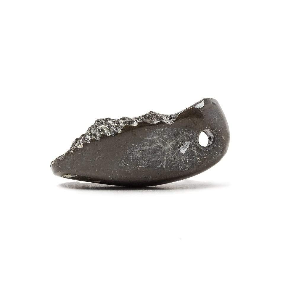 31x13.5mm Pyritized Ammonite Fossil Focal Bead