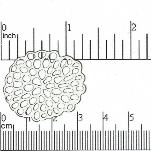 32mm x 28mm Large Designer Coral Connector - Made of Pewter - Sold by the Piece - K8