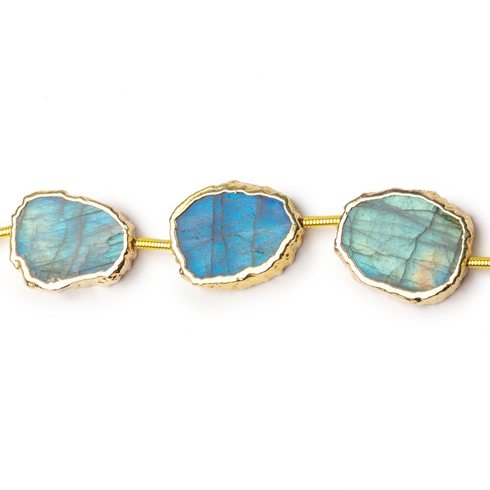 15x12-17x13mm Gold Leaf Labradorite Plain Slice Strand 10 Beads