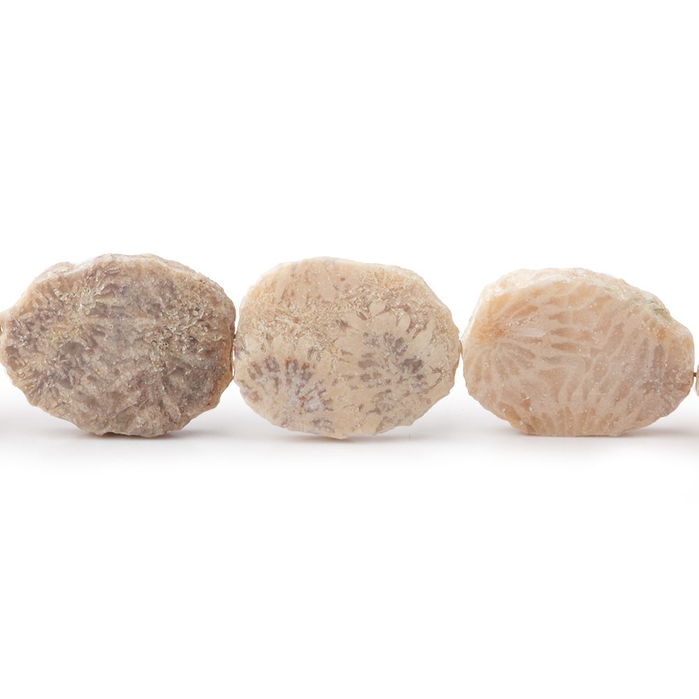 15x12mm Fossil Coral Straight Drilled Slice Beads 8 inch 13 pieces
