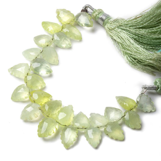 8x5-10x6mm Prehnite Scalloped Pear Beads 4 inch 26 pieces