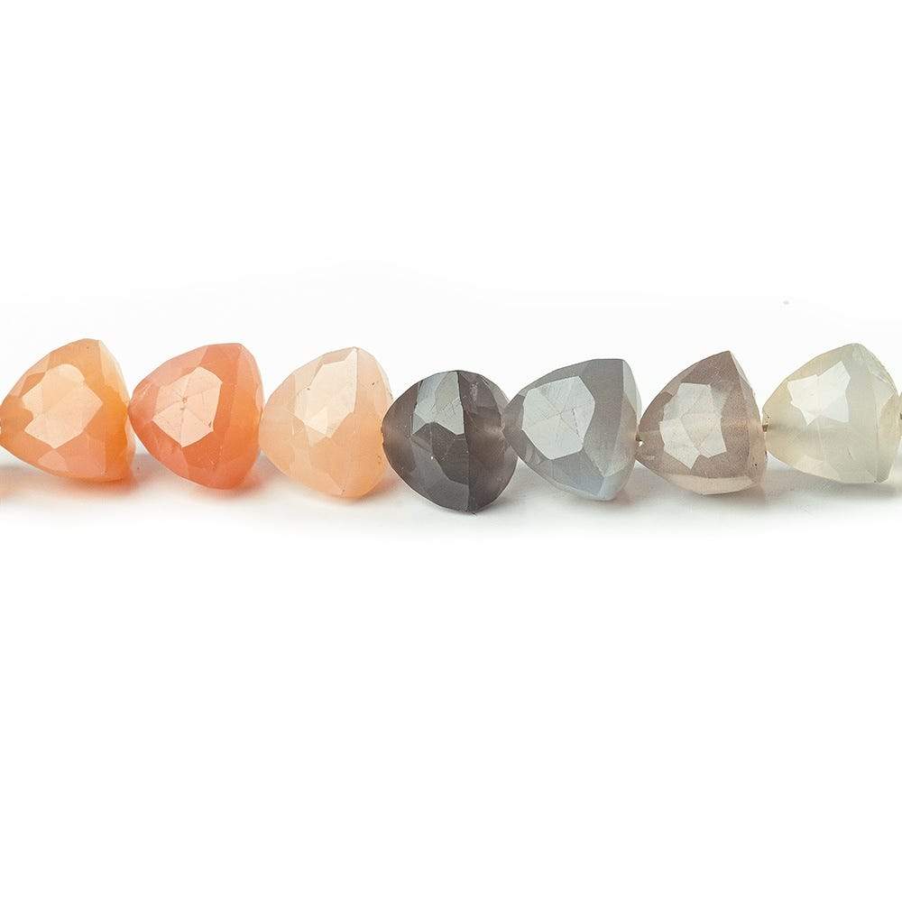 8x8mm Multi Color Moonstone Straight Drilled Trillion beads 8 inch 28 pieces AA