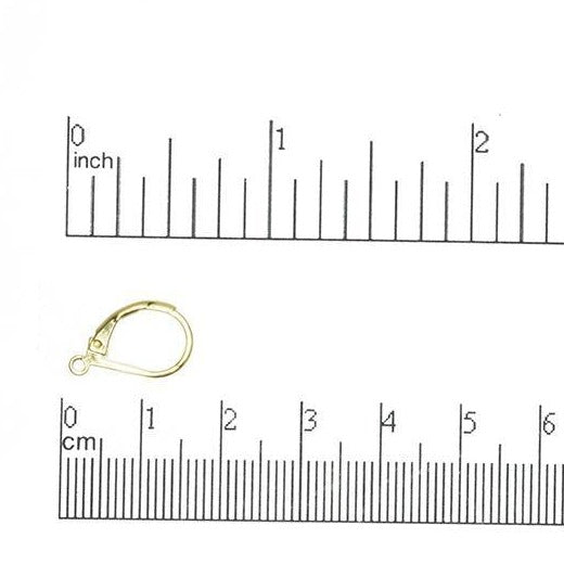 15mm x 10mm Leverback Earwire. Sold by the Dozen - EW5009