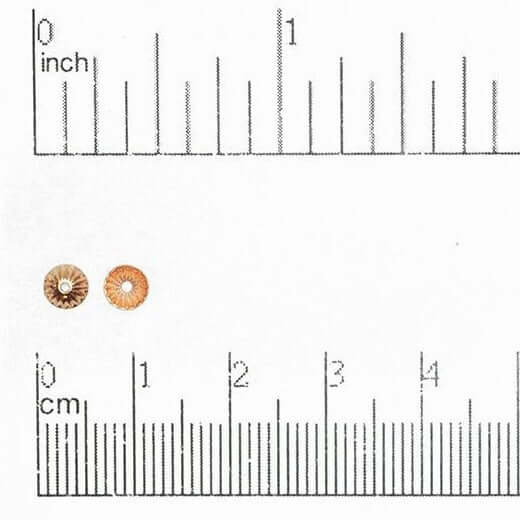 4.5mm Stamped Brass Bead Cap - Available in 7 Finishes - Sold Individually - BC100