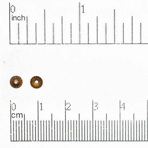 4.5mm Stamped Brass Bead Cap - Available in 7 Finishes - Sold Individually - BC100