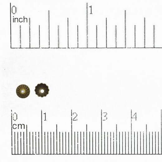 4.5mm Stamped Brass Bead Cap - Available in 7 Finishes - Sold Individually - BC100