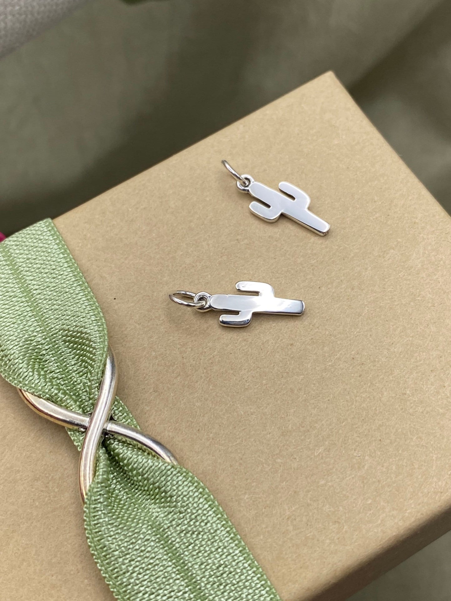 Cactus Charms - 2 Pack - F35