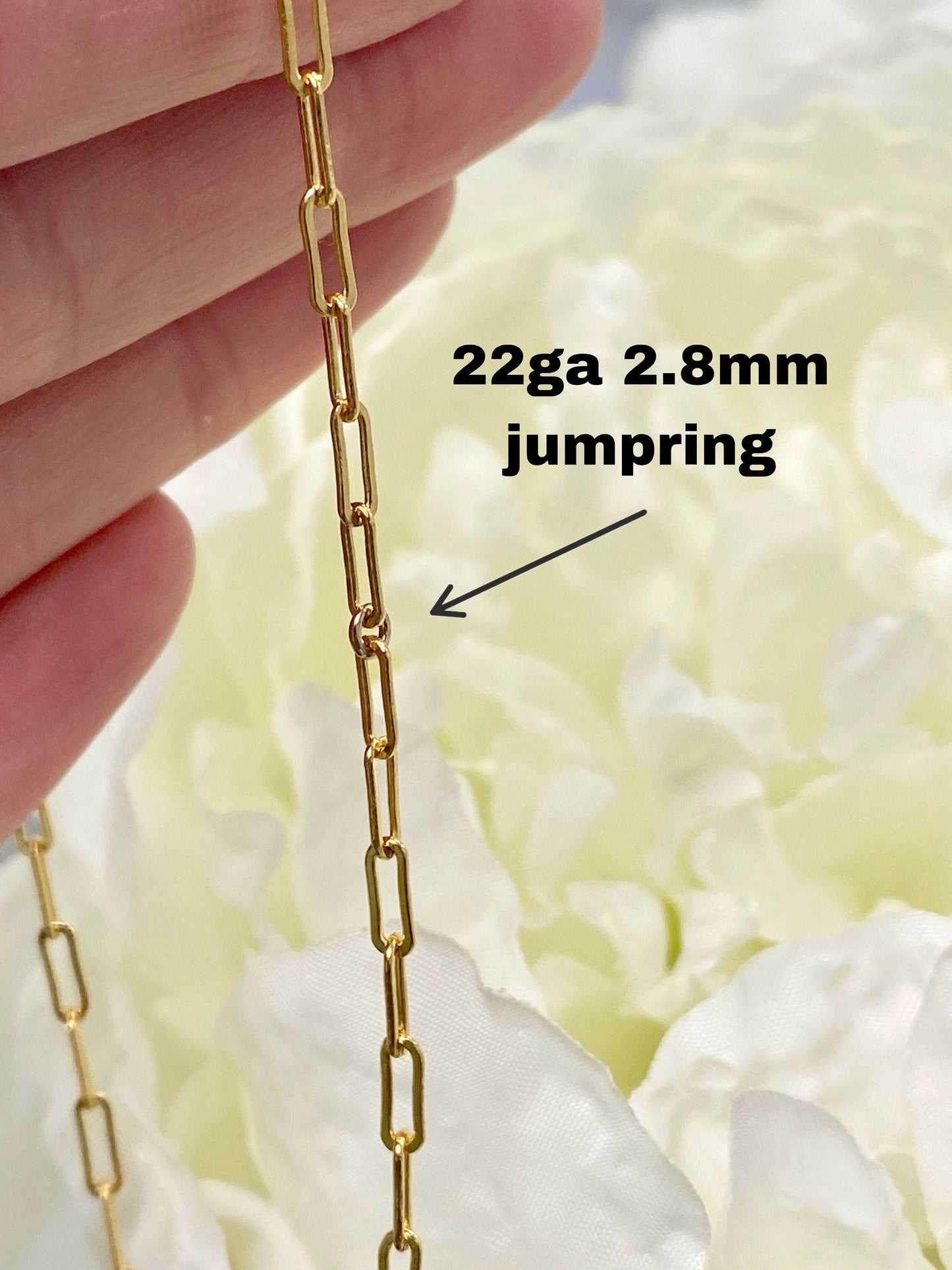 Paperclip Chain 2.5x6.5mm - C15