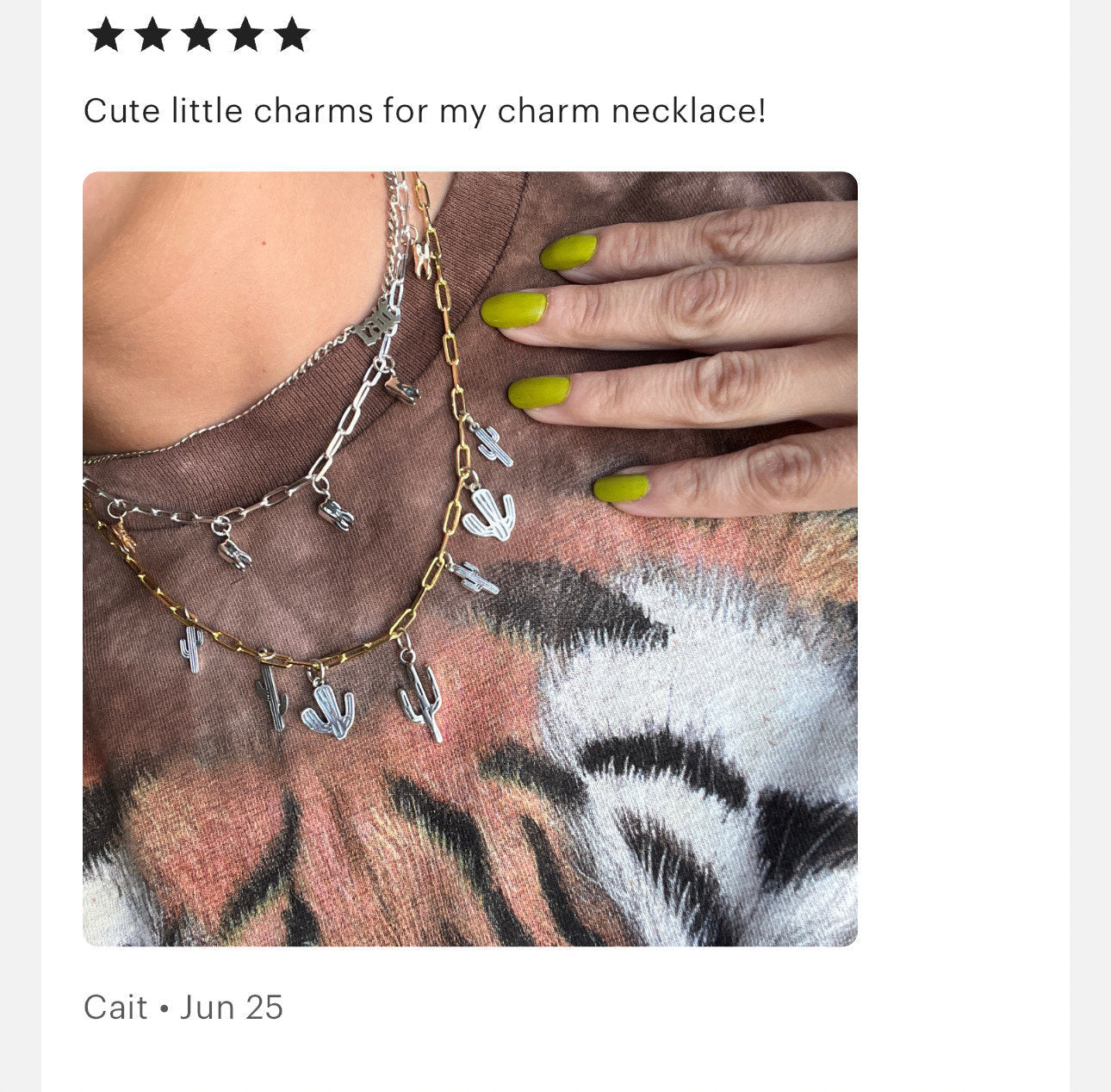 Cactus Charms - 2 Pack - F35