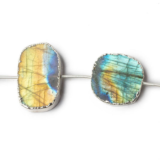 11x9-21x19mm Silver Leafed Labradorite plain slice strand 7 beads